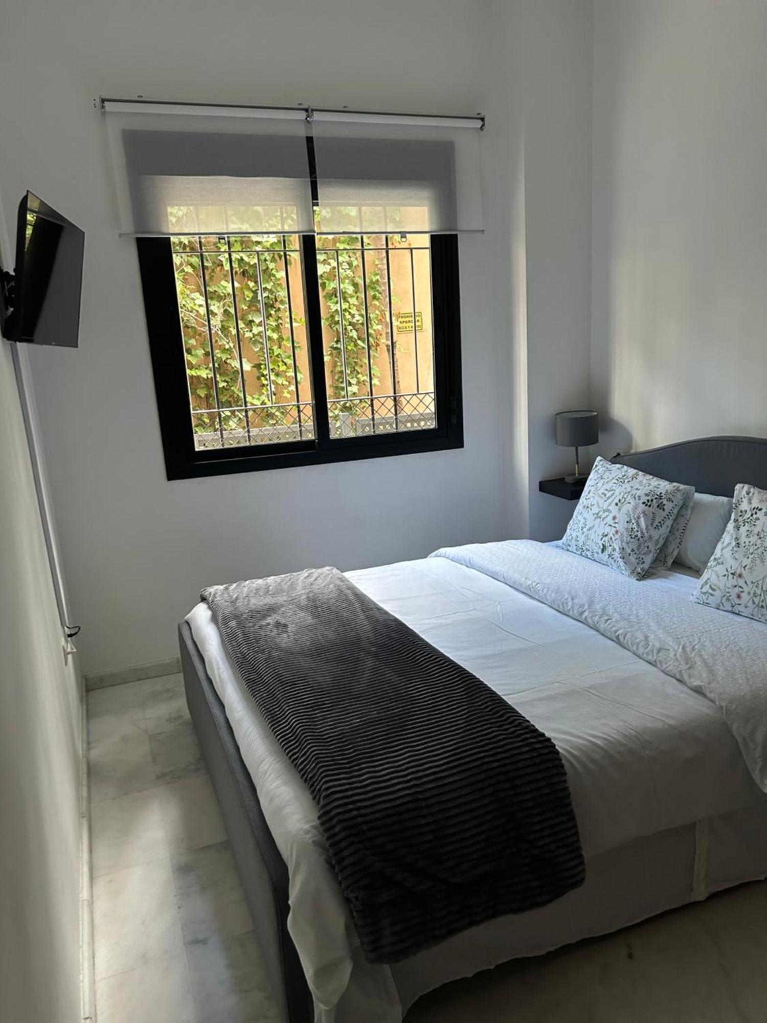 Apartamento Proximo Al Centro De 2 Dormitorios Con Piscina. Sevilla Exteriér fotografie